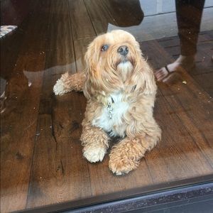 Meet your Posher, Sen